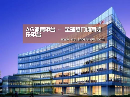 AG体育案例展示三
