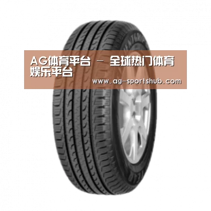 AG体育产品名称五